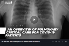COVID-19患者に対する肺の重症治療の概要